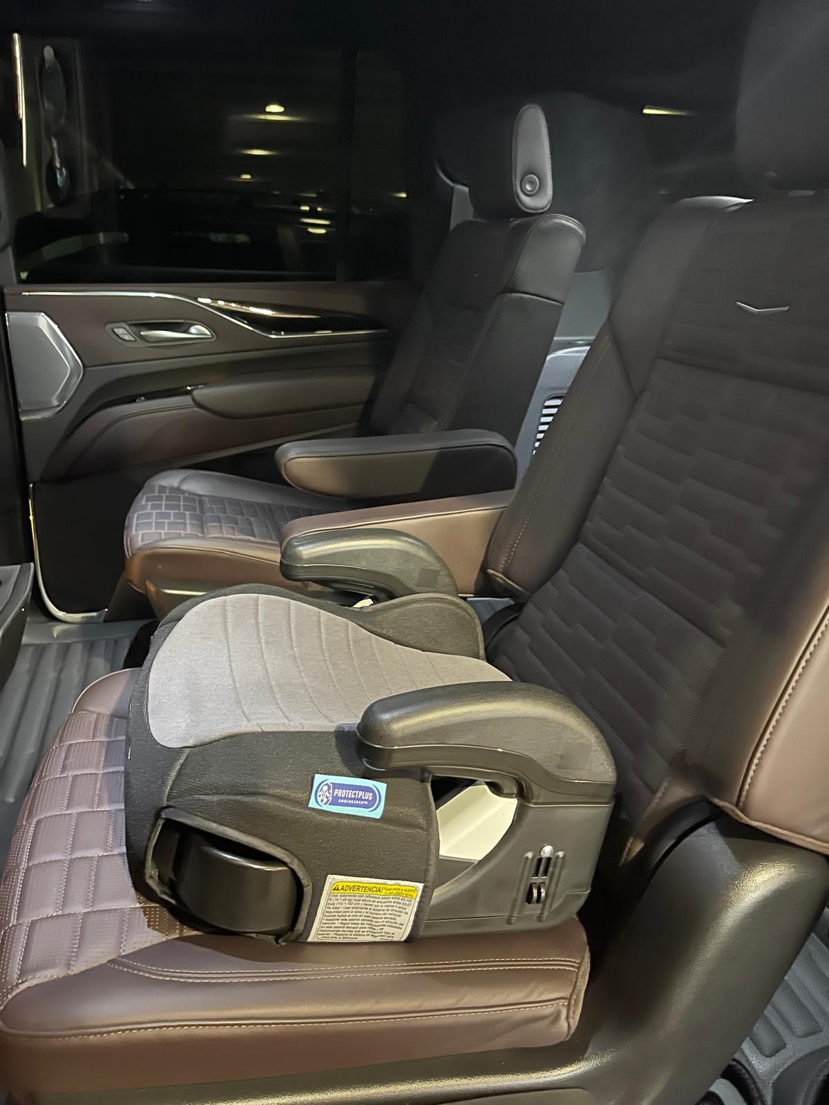 Example booster seat in a luxury vehicle